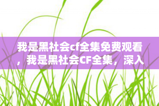 我是黑社会cf全集免费观看，我是黑社会CF全集，深入解析一部经典穿越火线同人小说