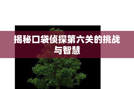 揭秘口袋侦探第六关的挑战与智慧