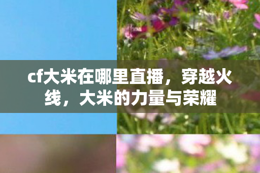 cf大米在哪里直播，穿越火线，大米的力量与荣耀