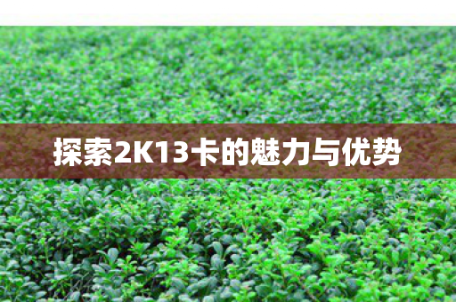 探索2K13卡的魅力与优势