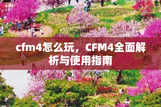 cfm4怎么玩，CFM4全面解析与使用指南