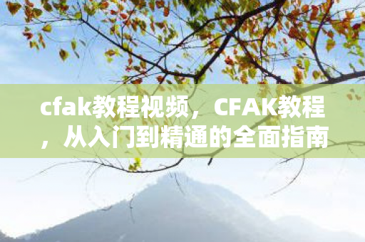 cfak教程视频，CFAK教程，从入门到精通的全面指南