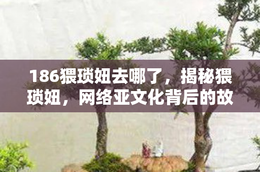 186猥琐妞去哪了，揭秘猥琐妞，网络亚文化背后的故事
