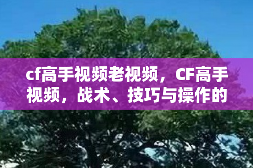 cf高手视频老视频，CF高手视频，战术、技巧与操作的极致展现