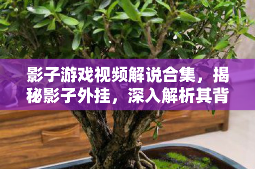 影子游戏视频解说合集，揭秘影子外挂，深入解析其背后的神秘面纱