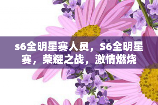 s6全明星赛人员，S6全明星赛，荣耀之战，激情燃烧