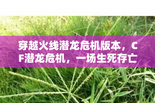 穿越火线潜龙危机版本，CF潜龙危机，一场生死存亡的较量