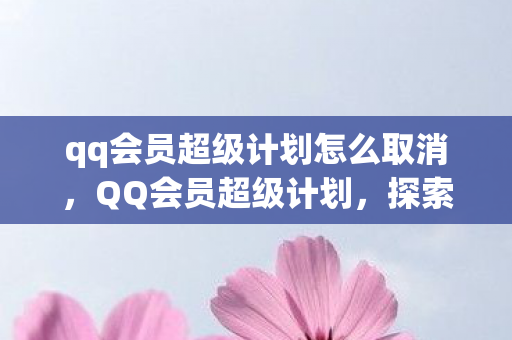 qq会员超级计划怎么取消，QQ会员超级计划，探索尊贵体验的无尽可能
