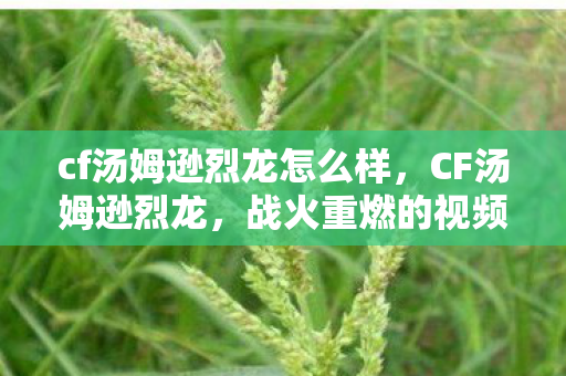 cf汤姆逊烈龙怎么样，CF汤姆逊烈龙，战火重燃的视频解析