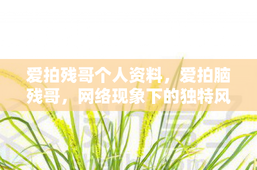 爱拍残哥个人资料，爱拍脑残哥，网络现象下的独特风景