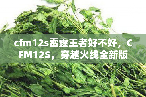cfm12s雷霆王者好不好，CFM12S，穿越火线全新版本解析与体验分享