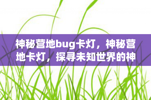 神秘营地bug卡灯，神秘营地卡灯，探寻未知世界的神秘仪式