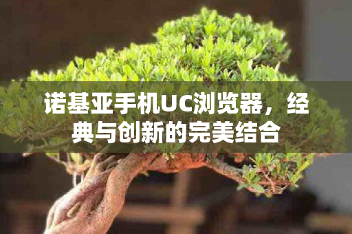 诺基亚手机UC浏览器，经典与创新的完美结合