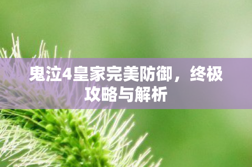 鬼泣4皇家完美防御，终极攻略与解析