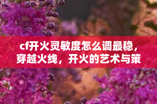 cf开火灵敏度怎么调最稳，穿越火线，开火的艺术与策略深度解析