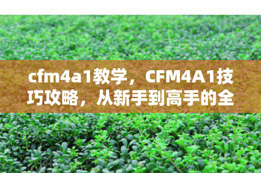 cfm4a1教学，CFM4A1技巧攻略，从新手到高手的全面解析