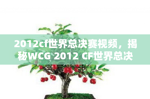 2012cf世界总决赛视频，揭秘WCG 2012 CF世界总决赛背后的故事