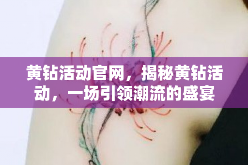 黄钻活动官网，揭秘黄钻活动，一场引领潮流的盛宴