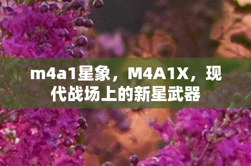 m4a1星象，M4A1X，现代战场上的新星武器