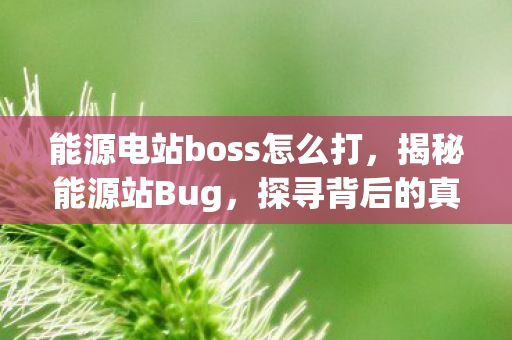 能源电站boss怎么打，揭秘能源站Bug，探寻背后的真相与挑战