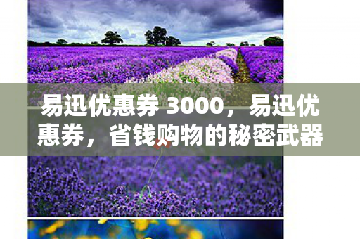 易迅优惠券 3000，易迅优惠券，省钱购物的秘密武器