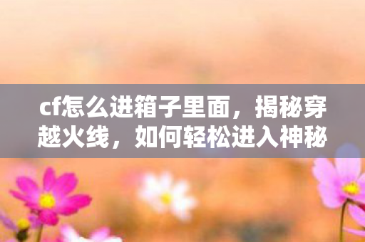 cf怎么进箱子里面，揭秘穿越火线，如何轻松进入神秘箱子