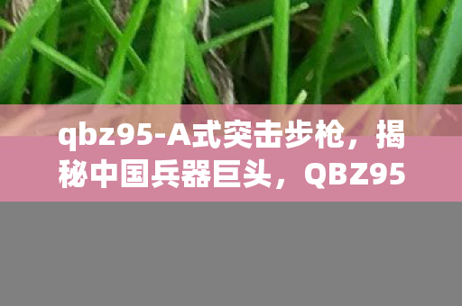 qbz95-A式突击步枪，揭秘中国兵器巨头，QBZ95-A的传奇故事