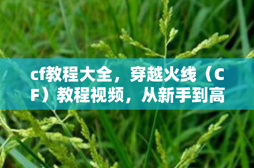 cf教程大全，穿越火线（CF）教程视频，从新手到高手的全方位指南