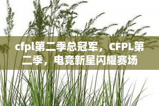 cfpl第二季总冠军，CFPL第二季，电竞新星闪耀赛场