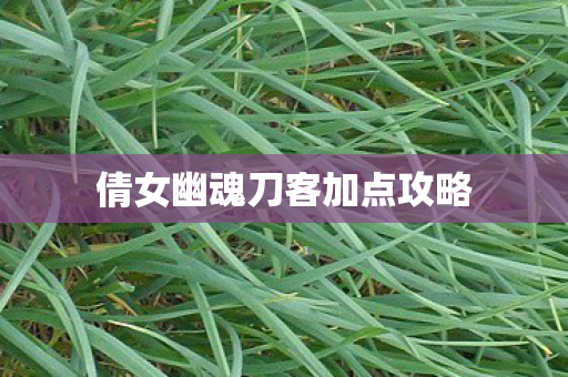 倩女幽魂刀客加点攻略