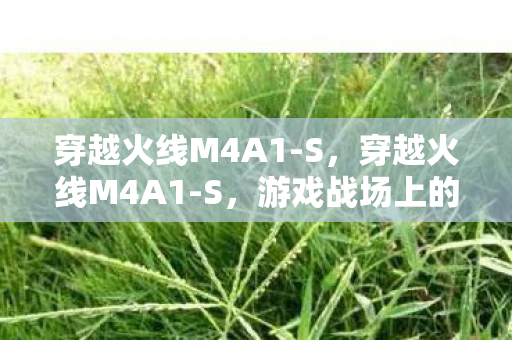穿越火线M4A1-S，穿越火线M4A1-S，游戏战场上的新星
