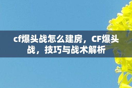 cf爆头战怎么建房，CF爆头战，技巧与战术解析