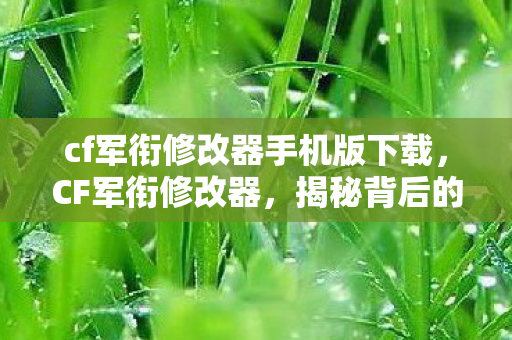 cf军衔修改器手机版下载，CF军衔修改器，揭秘背后的真相与风险