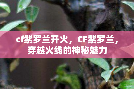 cf紫罗兰开火，CF紫罗兰，穿越火线的神秘魅力