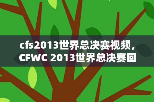 cfs2013世界总决赛视频，CFWC 2013世界总决赛回顾，经典瞬间再现