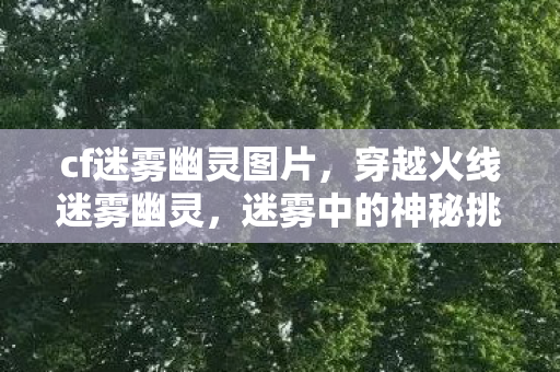 cf迷雾幽灵图片，穿越火线迷雾幽灵，迷雾中的神秘挑战者