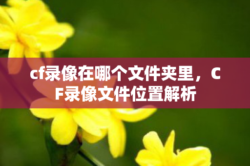 cf录像在哪个文件夹里，CF录像文件位置解析