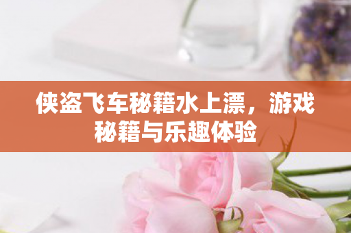 侠盗飞车秘籍水上漂，游戏秘籍与乐趣体验
