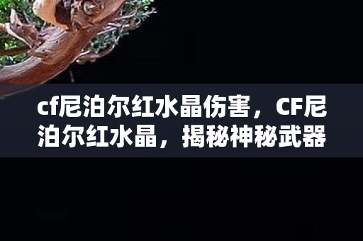 cf尼泊尔红水晶伤害，CF尼泊尔红水晶，揭秘神秘武器的背后故事