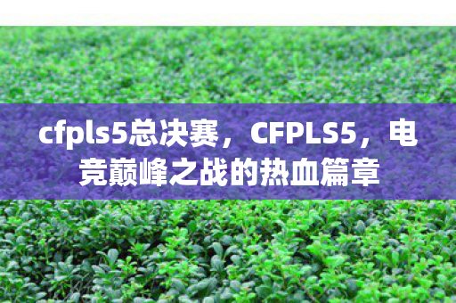 cfpls5总决赛，CFPLS5，电竞巅峰之战的热血篇章