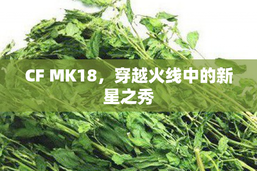 CF MK18，穿越火线中的新星之秀