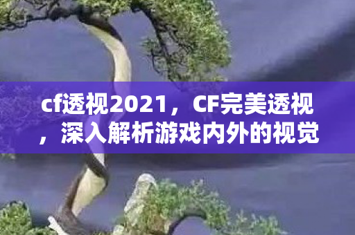 cf透视2021，CF完美透视，深入解析游戏内外的视觉艺术与技术实现