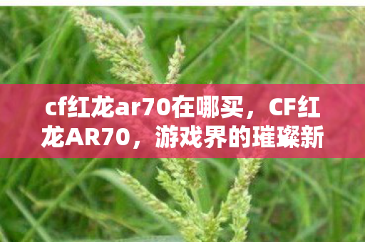 cf红龙ar70在哪买，CF红龙AR70，游戏界的璀璨新星