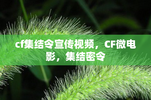 cf集结令宣传视频，CF微电影，集结密令