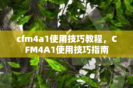 cfm4a1使用技巧教程，CFM4A1使用技巧指南
