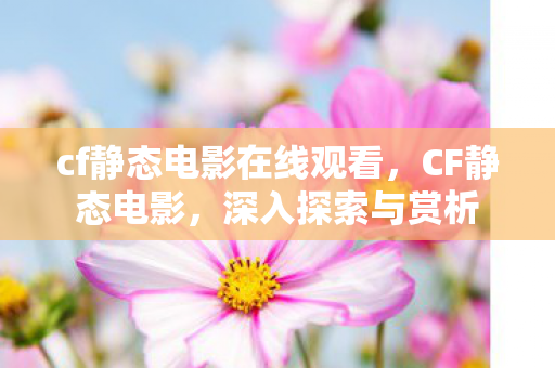 cf静态电影在线观看，CF静态电影，深入探索与赏析