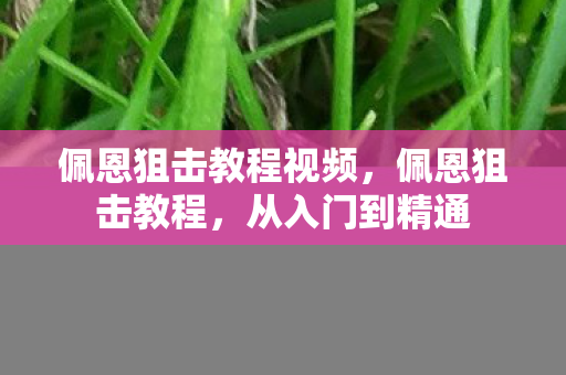 佩恩狙击教程视频，佩恩狙击教程，从入门到精通