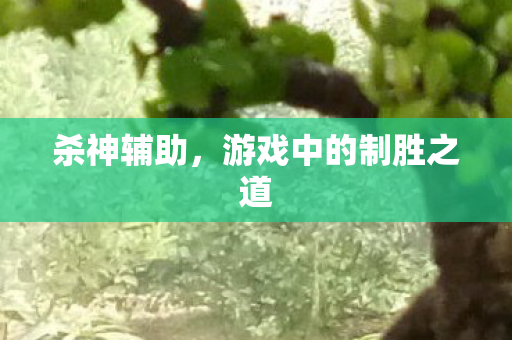 杀神辅助，游戏中的制胜之道