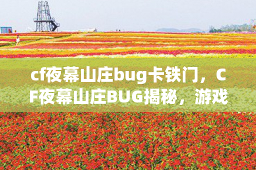 cf夜幕山庄bug卡铁门，CF夜幕山庄BUG揭秘，游戏内的神秘漏洞探索