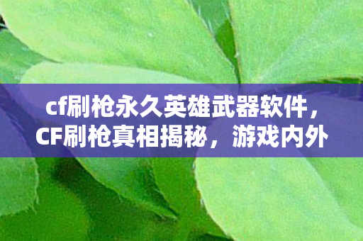 cf刷枪永久英雄武器软件，CF刷枪真相揭秘，游戏内外的深度探讨